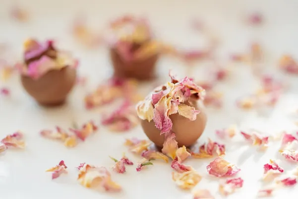 Bet24star Casino Aplicación Android/iOS